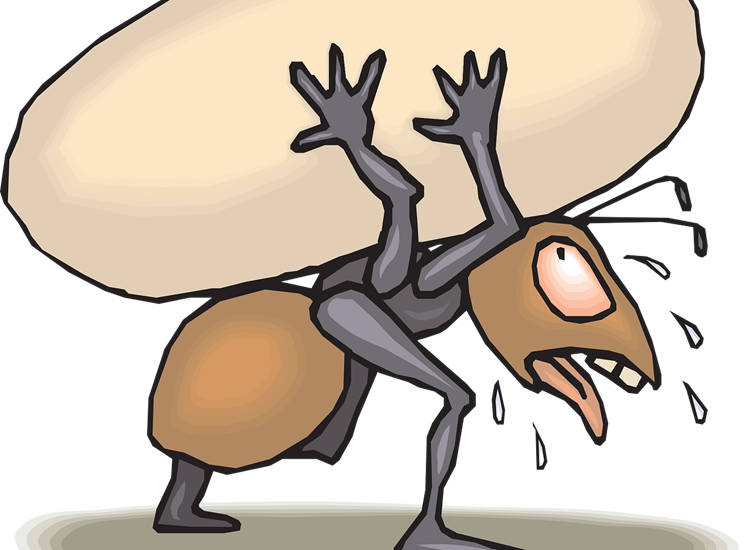 Myrer bærer på tungt æg